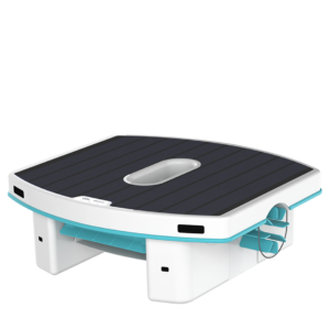 Skimmi Dolphin