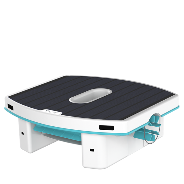 Skimmi Dolphin